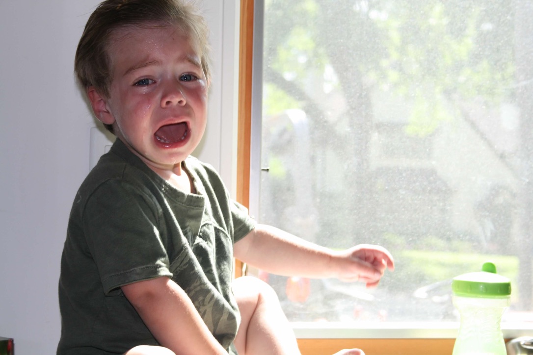How Dysregulated Young Kids Can Be